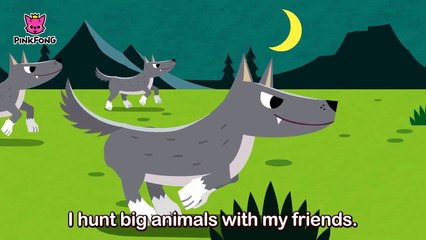 Night Animals | Animal Songs | PINKFONG Songs for Children