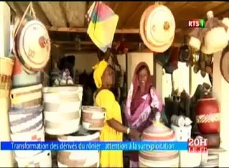 Transformation des dérivés du rônier ׃ attention à la surexploitation (Fandène)