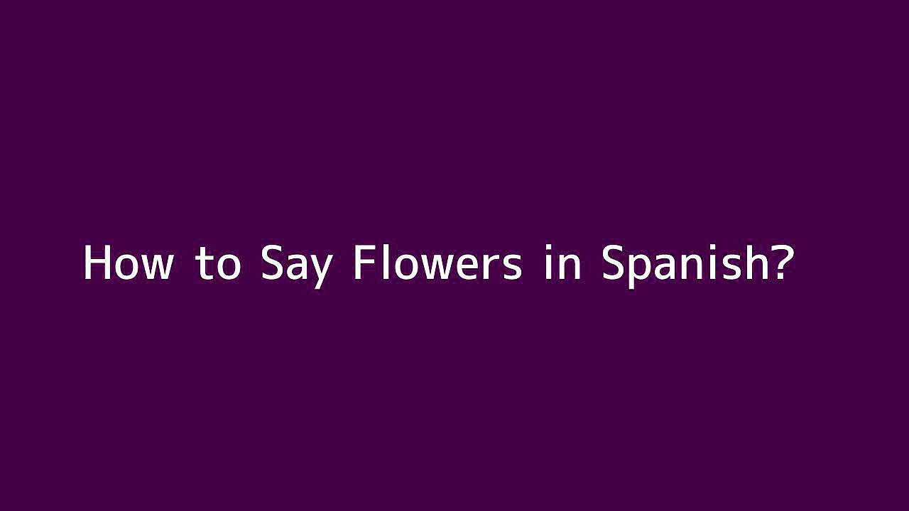 How to say Flowers in Spanish Vidéo Dailymotion
