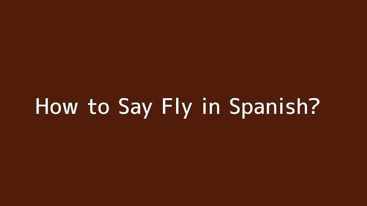 how-to-say-fly-in-spanish-vid-o-dailymotion