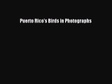 [PDF Download] Puerto Rico's Birds in Photographs [PDF] Full Ebook