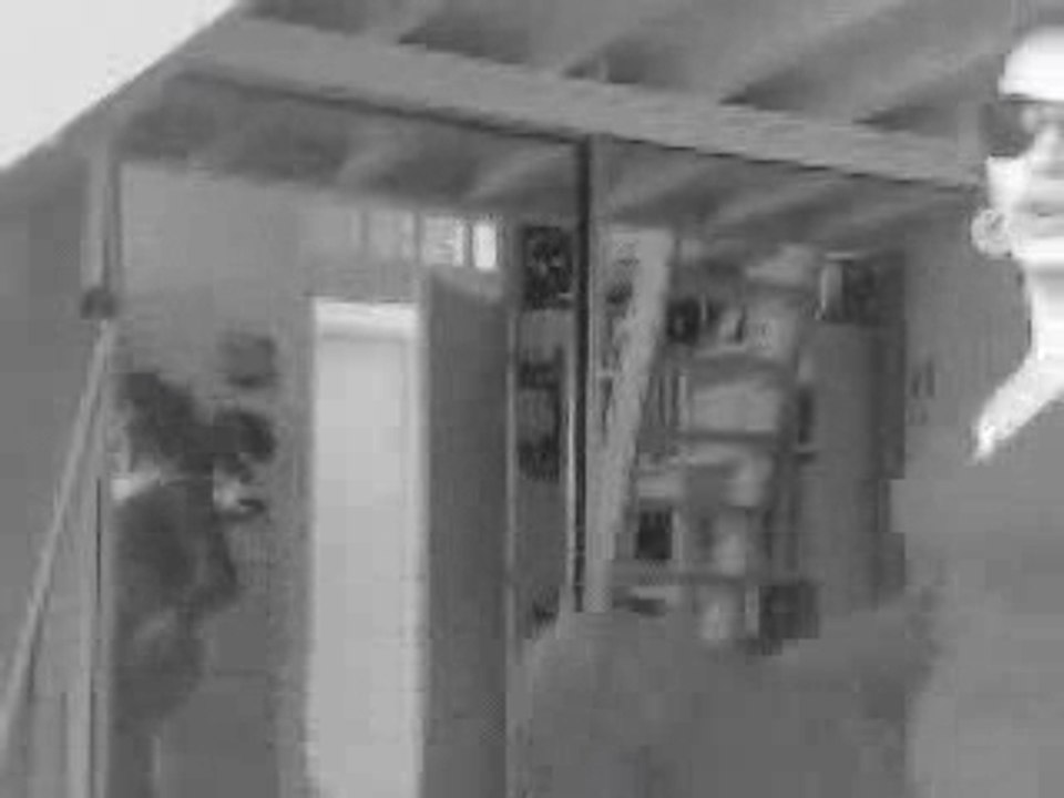 Fall out boys dailymotion