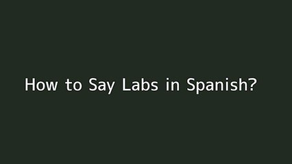 How to say Labs in Spanish