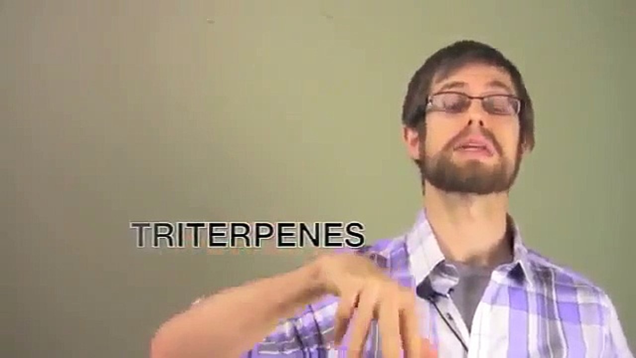 Chaga Mushroom Benefits