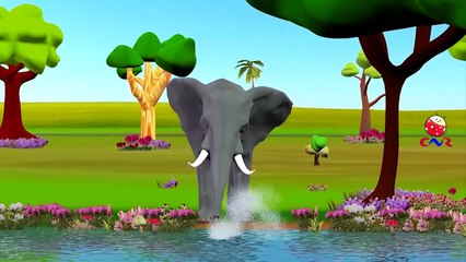 Finger Family Children Nursery Rhymes for Preschool | Elephant Cartoons for Kids