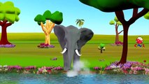 Finger Family Children Nursery Rhymes for Preschool | Elephant Cartoons for Kids