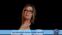 Yay Burcunun Çalışma Hayatı ve Çalışma Arkadaşları ile İlişkileri Nasıldır?