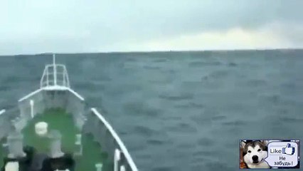 1 и 2 волна Цунами заснятое в Море Редкие кадры