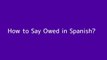 How to say Owed in Spanish