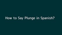 How to say Plunge in Spanish