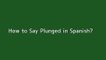 How to say Plunged in Spanish