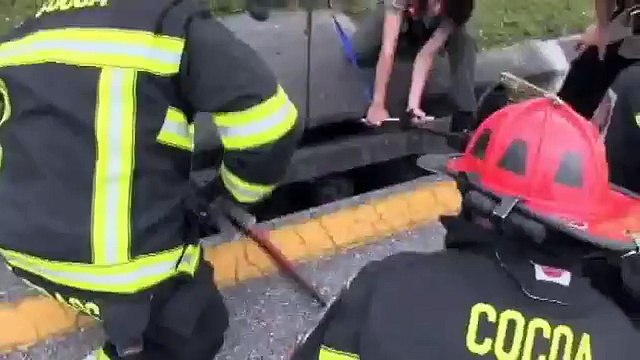 Fanno una scoperta terribile: ecco cosa trovano in una fogna...