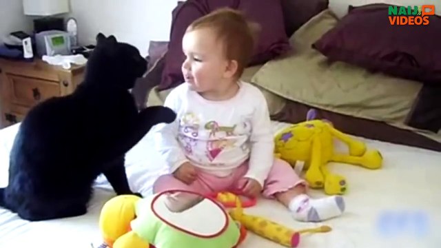 Des chats très calins avec nos enfants... Compilation de minous trop mignons