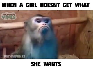 When Bf Say I Dont Have Money And She Be Like..