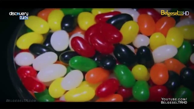 Nasıl Yapılır : 39. Bölüm (Discovery Channel Türkçe Belgesel)