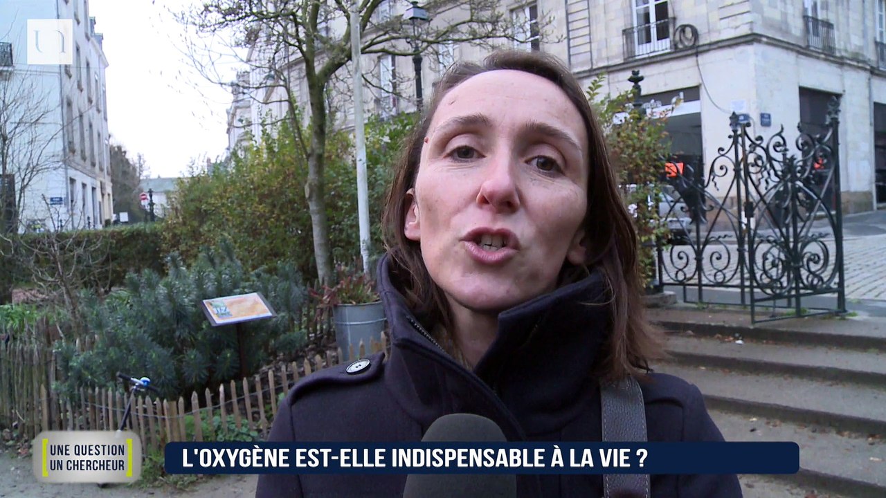L'oxygène est-il indispensable à la vie ?