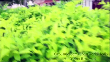 Real Ghost Caught On Cam In Park Near Little Girl