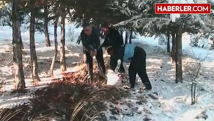 Yaban Hayvanları İçin Doğaya Yiyecek Bırakıldı