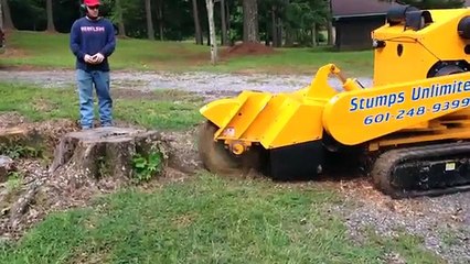 stump grinding browns plains