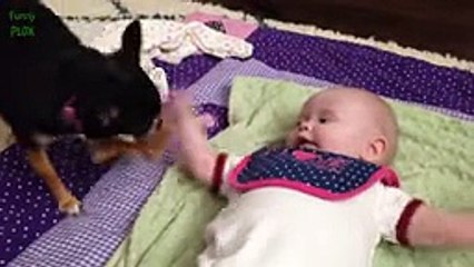 Puppies and Babies Playing Together