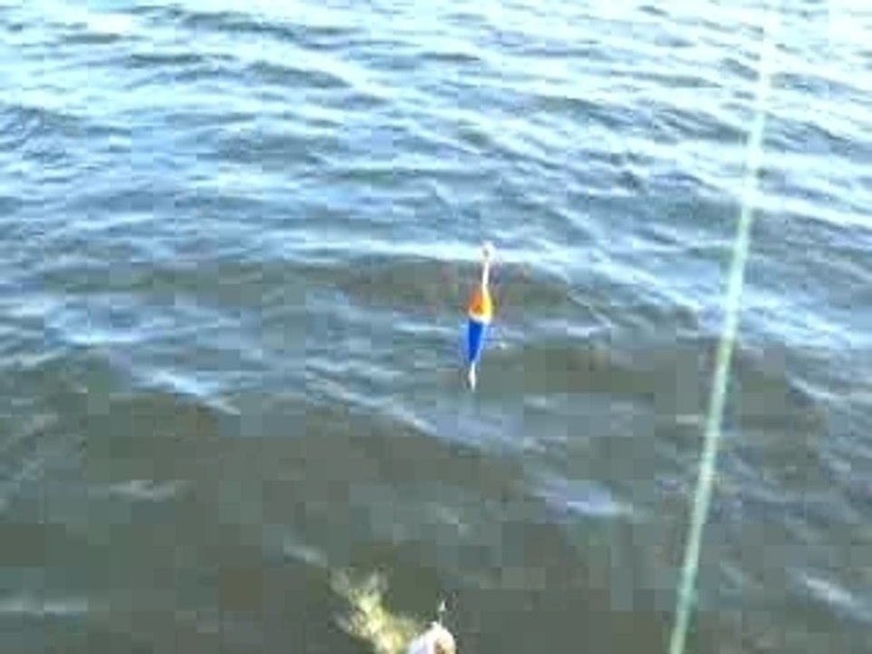Divers 2 191
