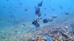 Diving at Racha Yai 21 Feb2015 (2)