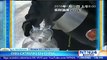 Frío extremo en China: agua hirviendo y una burbuja de jabón se solidifican en segundos al contacto con el ambiente