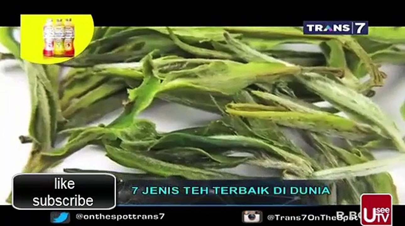 7 JENIS TEH TERBAIK DI DUNIA