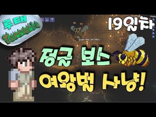 [루태] 정글 보스 여왕벌 테라리아(Terraria) 19일차