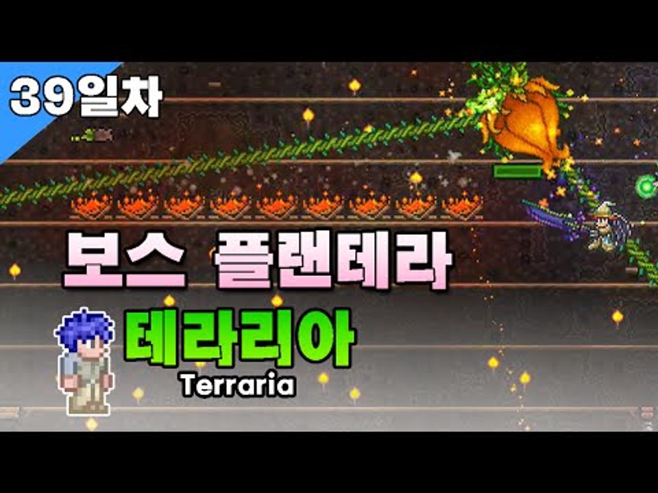 [루태]  보스 플랜테라 테라리아(Terraria) 39일차