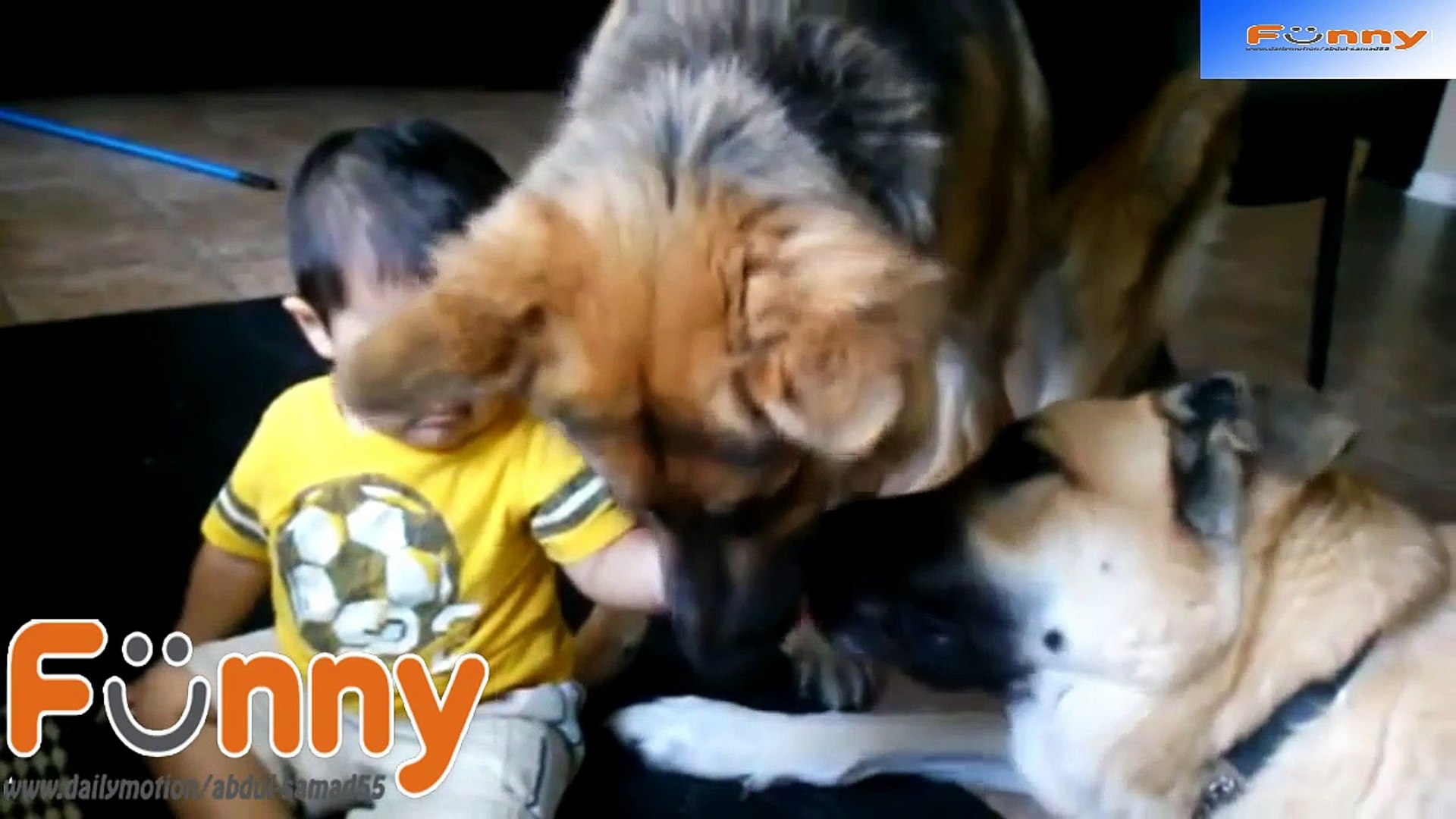 Big Dogs Playing with Babies