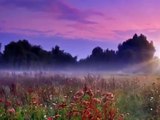 1 Saat Pozitif Düşünce Meditasyon Müzik Relax Müzik Yatıştırıcı Müzik Yoga Müzik