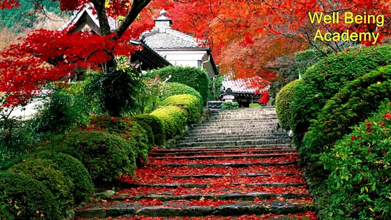 Tai chi Japanese Relax Music 8 hours
