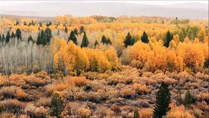 Merlin`s Magic - Flowing Perfection - Tai Chi - Harmony - 20 min - Relaxing Music