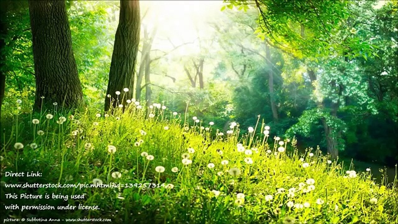 9 HOURS of Relaxing music - Meditation,Sleep,Spa,Study,Reiki,Massage,Ayurveda,Qigong,Tai-Chi