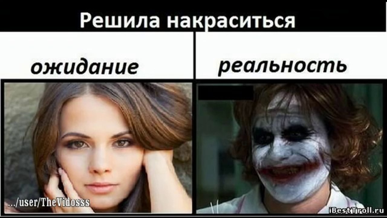 Funny Videos