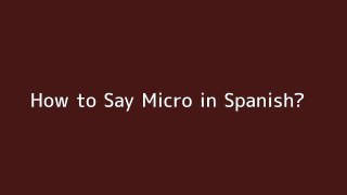 How to say Micro in Spanish