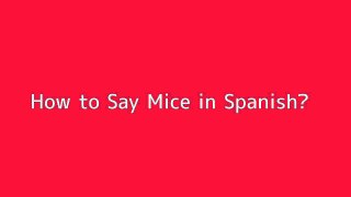 How to say Mice in Spanish