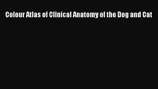[PDF Download] Colour Atlas of Clinical Anatomy of the Dog and Cat [PDF] Online