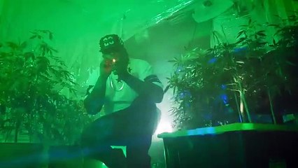 Wilson La Rabia Musical - Jackie Chan(video official)