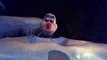 Sleeping Olaf Opening Night Frozen At Anna and Elsa Character Meet and Greet Disneyland 2013