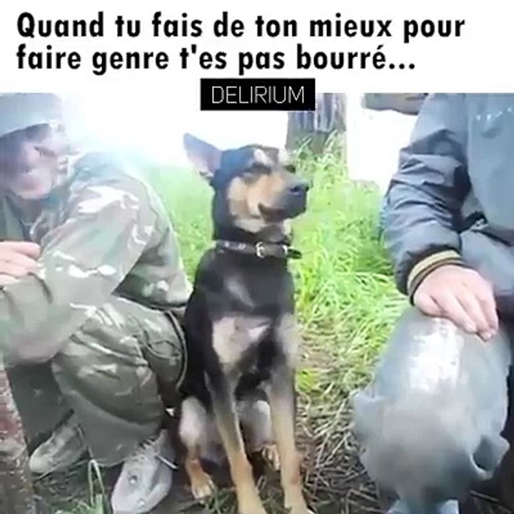 LOL - Quand tu essais de ne pas montrer que tu es bourrer!  XD