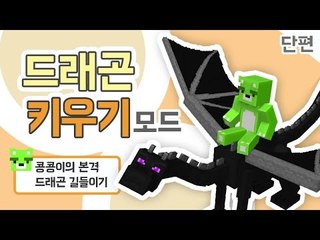 [콩콩] 드래곤 한마리 분양해가세요. 마인크래프트 드래곤키우기모드 단편 Minecraft