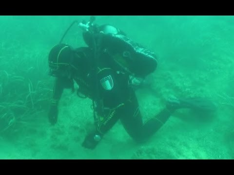 Taranto - Tutela del Mar Piccolo, accordo commissario-GdF (21.01.16)