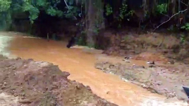 Nível do Rio Doce sobe e deixa cidades capixabas em estado de alerta