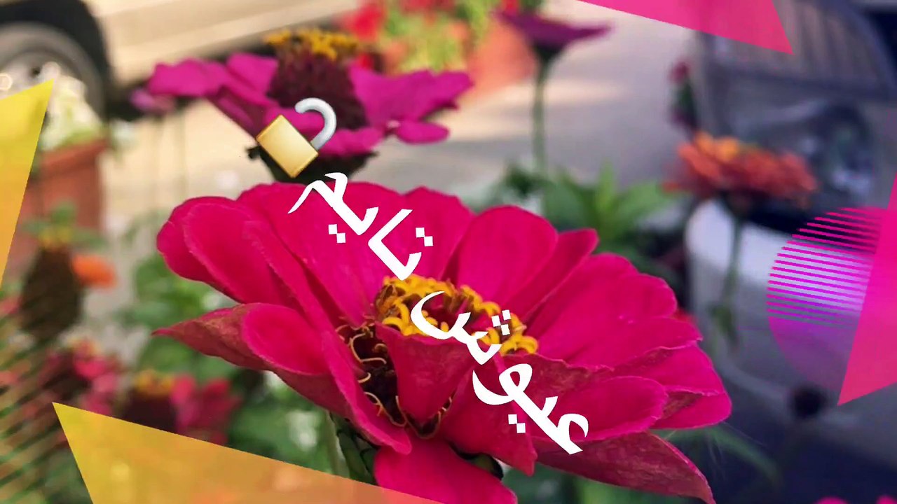 .#résumé.  .خلاصة.A #quelque #chose #malheur est bon..عسى ان #تكرهوا #شيئا وهو #خير #لكم .