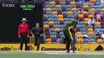Shahid Afridi baseball six .....