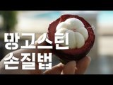 망고스틴 손질법/ 망고스틴 까는법 / 필리핀 여행 / 보홀 여행/ 세부 여행
