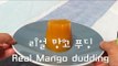 리얼 망고 푸딩 만드는 법 / Real Mango pudding / Mango puree