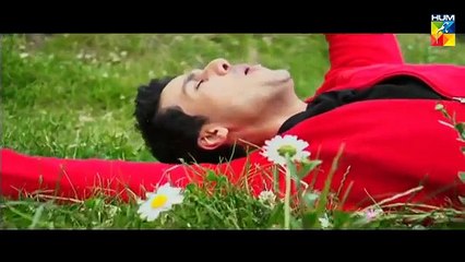 Khoya khoya chand title song